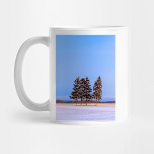 Winter Conifers in the Sunshine Mug